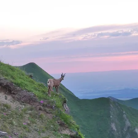Les Brumes, N°2 Mont-Dore